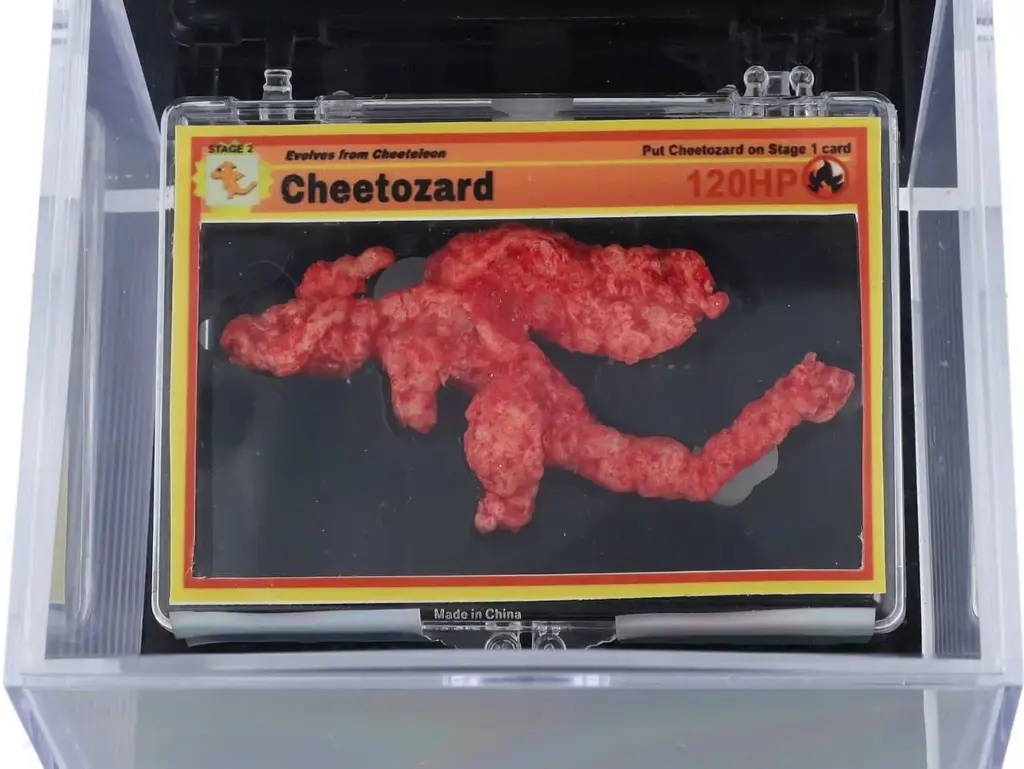 Cheetozard Picture